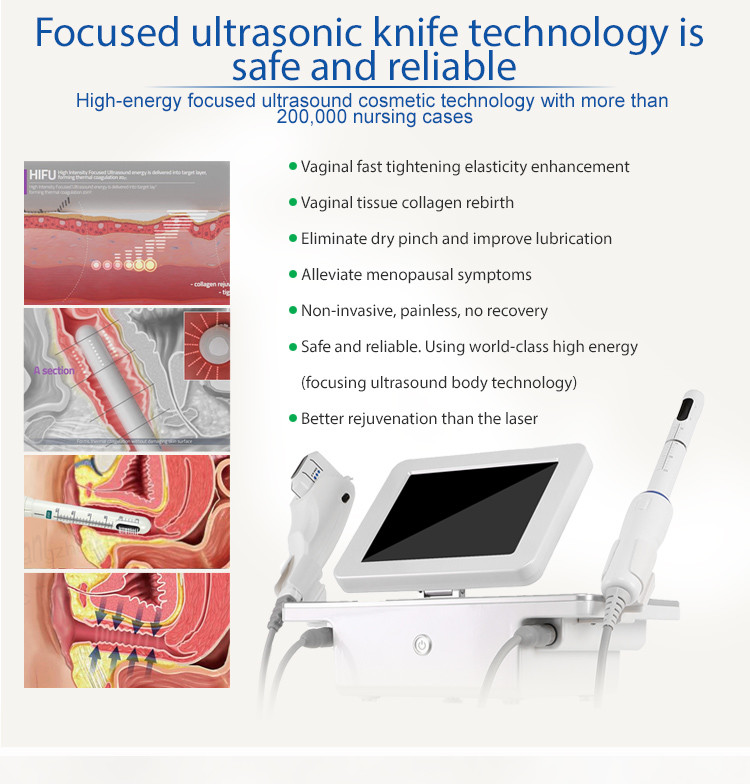 Portable 2 In 1 Ultrasound HIFU Beauty Machine For Wrinkle Removal Treatment