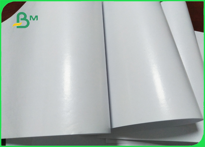 PE coated art paper
