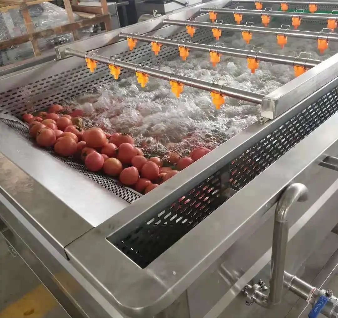 OEM Vegetable Washing Machine Commercial for Potato Pesticide Residues cleaning