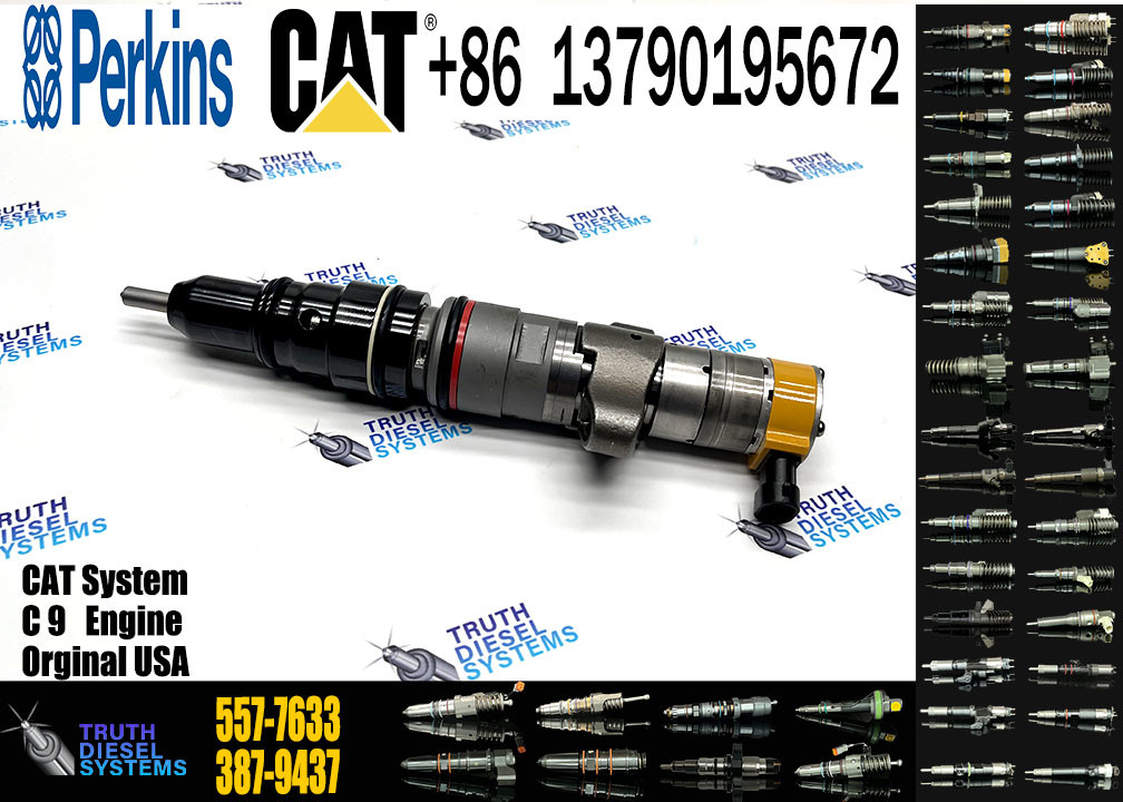 Diesel Engine C7 C9 Injector 293-4074 10R-9003 10R-7223 10R-4764 10R-2828 10R-4844 328-2573 553-2592 557-7633