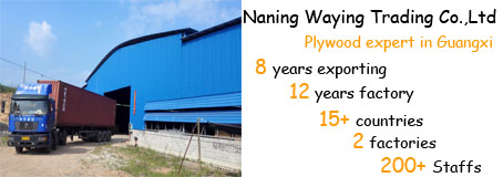 E0 E2 Glue Poplar Core Melamine Faced Birch Plywood For Furniture