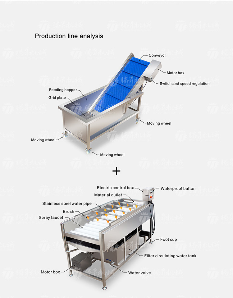 Fruit And Vegetable Wool Roller Bubble Cleaning Machine 1500KG/H