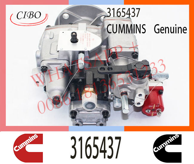 3165437 Diesel Pump for Cum-mins NT855 NTA855 K1064-D85 Engine PT Fuel Injector 3165437 3165400 3165401 3165401 4060993