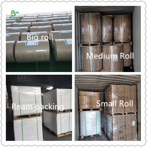 Virgin Pulp Coated FBB Ivory Board 305g / 345g Offset Printing SGS FSC
