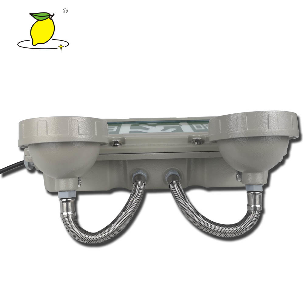 Explosion Proof LED Emergency Lighting Fire Exit Signs With Twin Spotlight