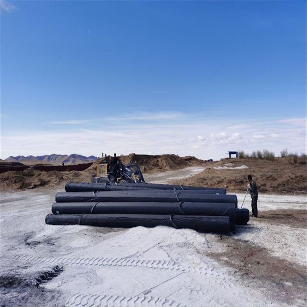 Store Sales Promotion HDPE Geomembrane Liner for Plastic Protection Requirements