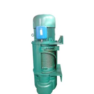 Customized Electric Hoist 0.5T-30T with Overload Protection Device