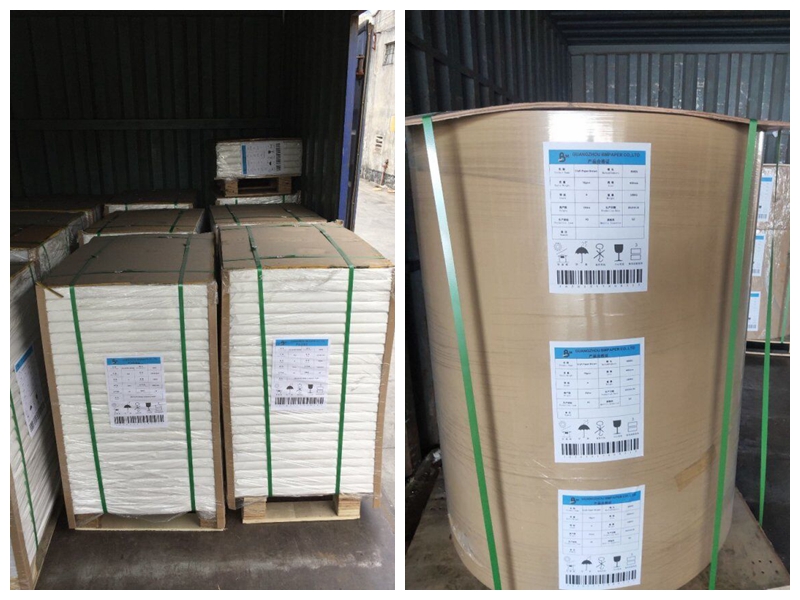 Eco - friendly 60gsm 70gsm 80gsm + 10g PE Coated paper For Wrapping Meat 