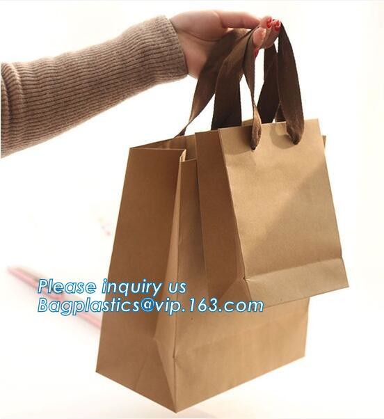 Luxury Rope Handle Laminated Paper Carrier Bags,brand Luxury laminated manila carrier paper hand bag, bagplastics, bagea