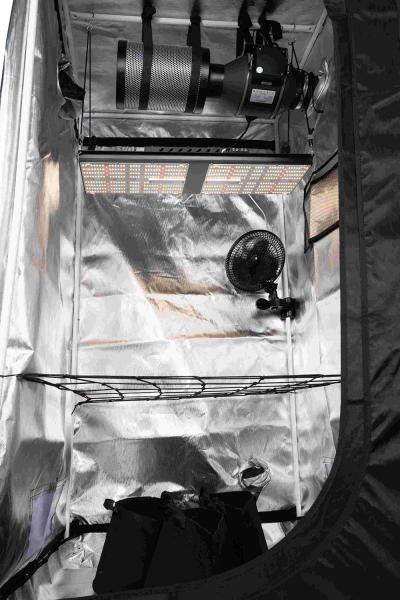 3 Plants Smart Grow Tent Set 1680D Mylar 80x80x180cm Grow Box with240W Samsung