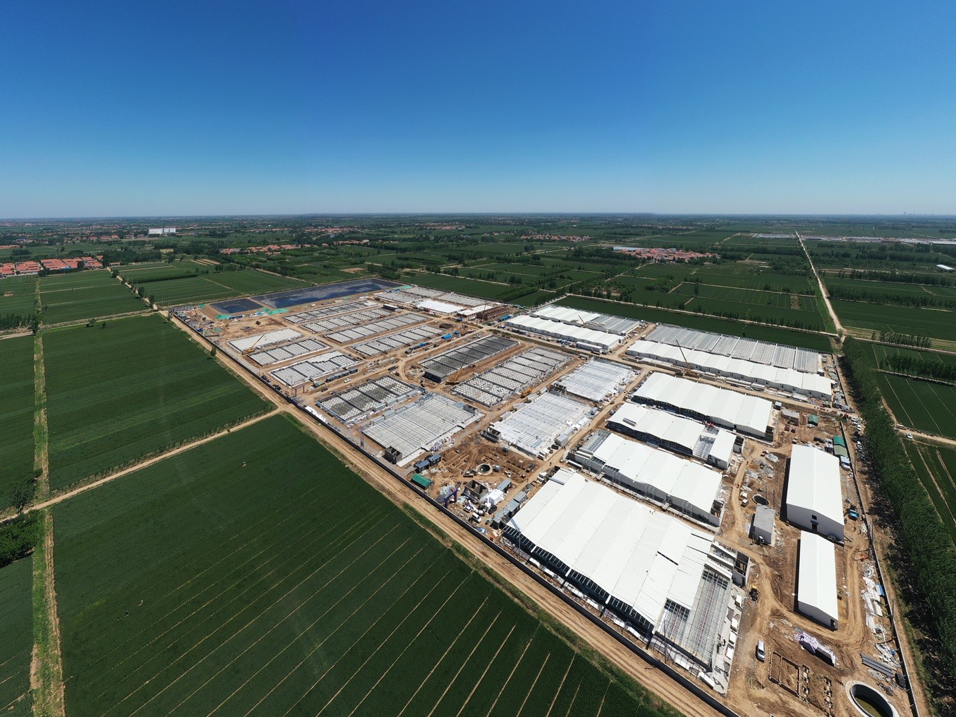 Galvanized Customized Steel Structured Buildings For Poultry Farms