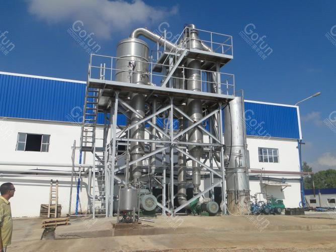 20T/H Automatic Tomato Processing Machine 304 Stainless Steel