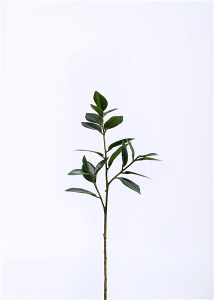 Laurel Fake Decorative Branches 60CM Premium Foliage Vibrant Color Artisan