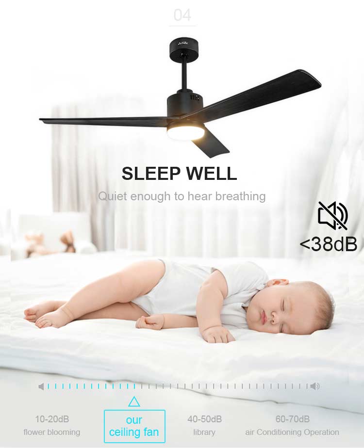 2022 Indoor Decorative BLDC Fan Ceiling Fan Light with Remote Control in Mulit Colors