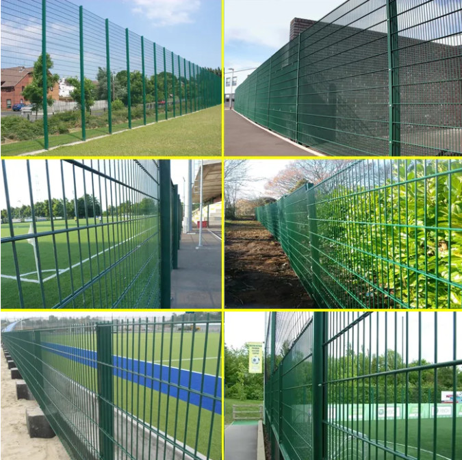 ISO9001 PVC Coated Double Loop Wire Garden Fence 5/4/5 Rustproof