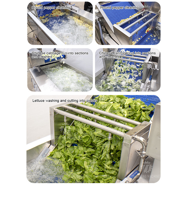 380V Integrating Spinach Washing Machine , Blasting Isolating Potato Cleaning Machine