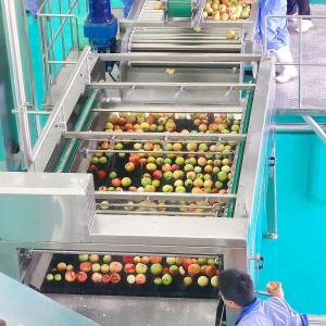 NFC Fresh Apple Juice Processing Machine For Juice Making 380V 50Hz