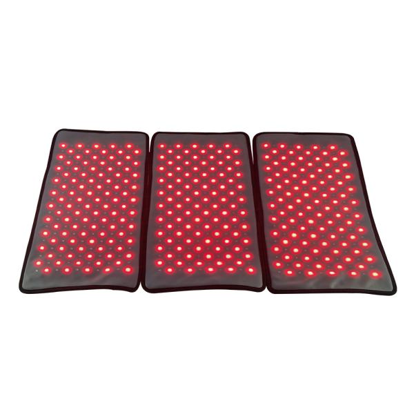 3 In 1 Removable Body Sculpting Weight Loss Red Light Therapy Machine 660nm