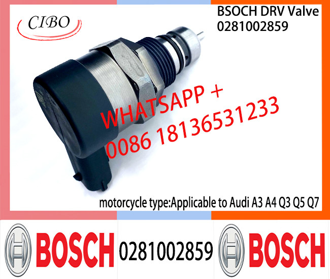 BOSCH DRV Valve 0281002858 0281002859 Control Valve 0281002858 0281002859 for Audi A3 A4 Q3 Q5 Q7