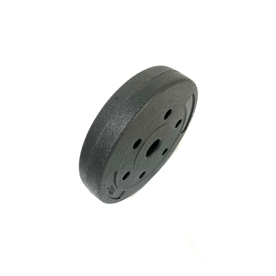 ABS Barbell Weight Lifting Cement Weight Plate Colorful