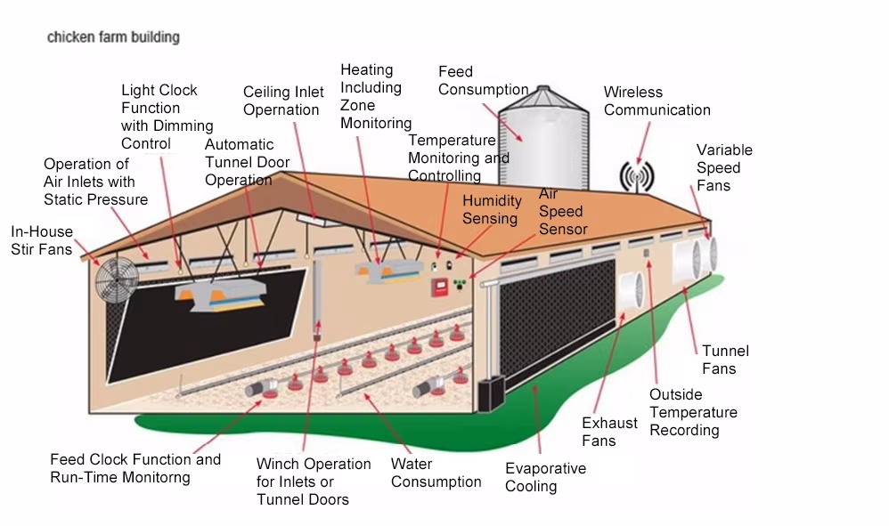 Lightweight Steel Frame House , Chicken Farm Structure Customized