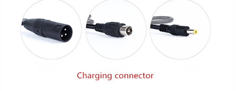 36V 48V Silverfish Electric Bike Lithium Battery Distance Per Charge 30-60KM