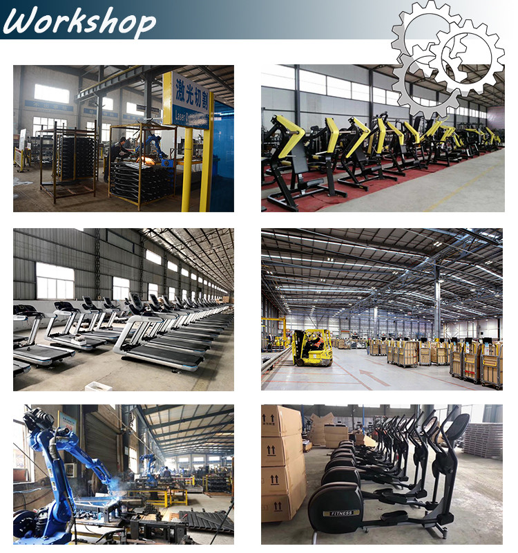 Bodybuilding Hammer Workout Equipment , Hammer Strength Exercise Equipment
