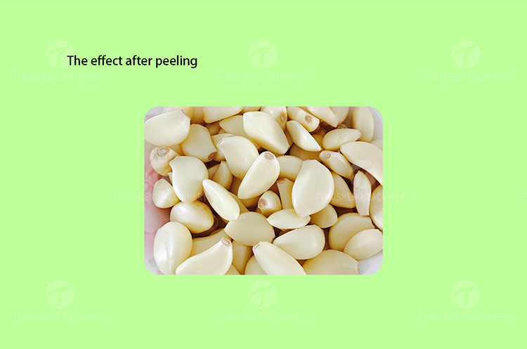 2.2KW Garlic Peeling Machine Industrial Factory Food Processor