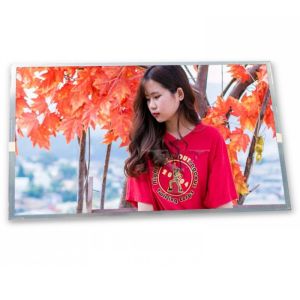  High Resolution ODM Custom 20.1-Inch WLED LCD Display Module LQ201U1LW31 1600*1200 Specific Application LCD Modules Manufactures