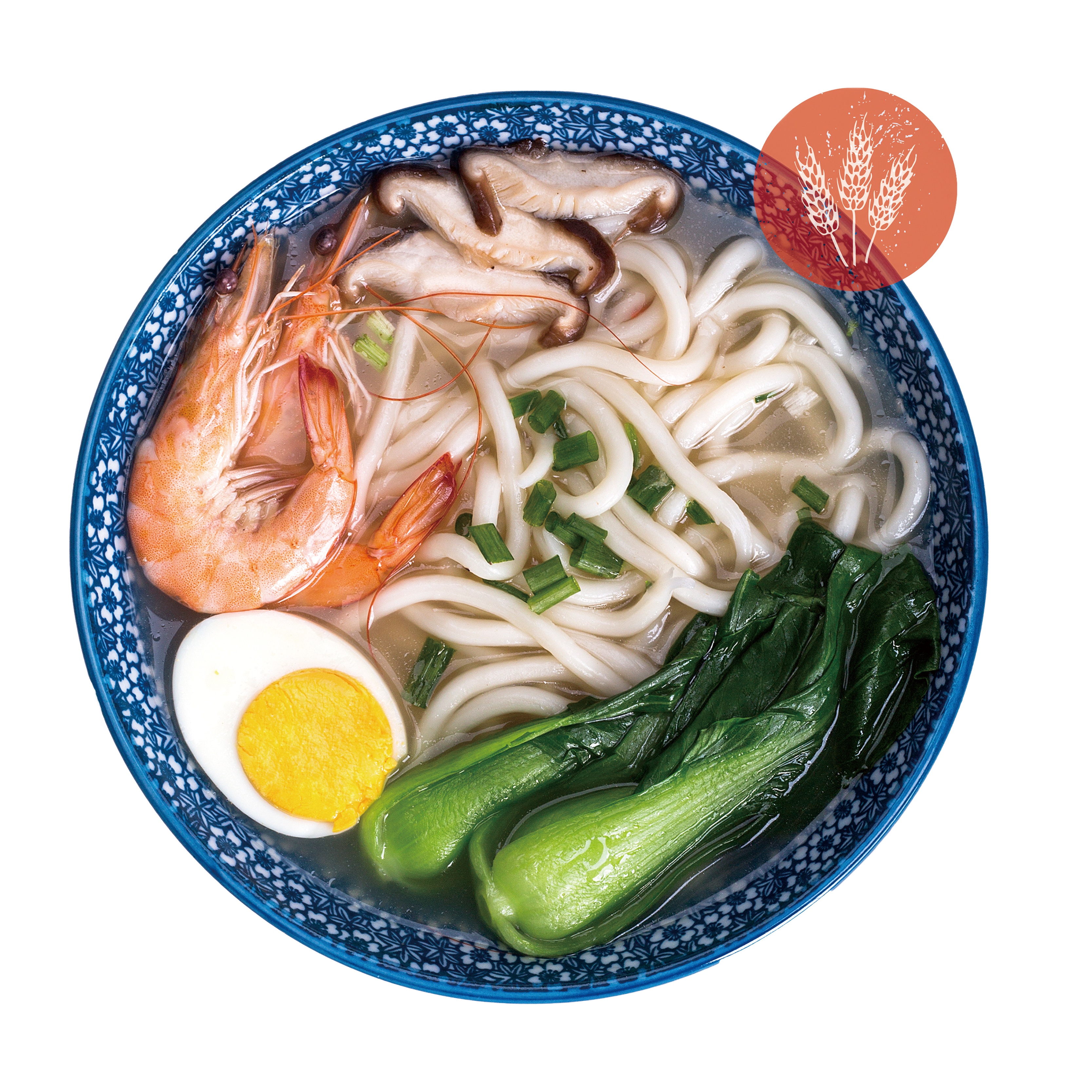FROZEN Udon Noodles with Buckwheat Traditional Japanese Style