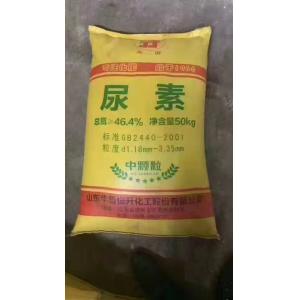 Urea SNCR Flue Gas Denitrification Project In Coal Power Plant