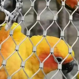 Animal Enclosure Mesh Of 60/90 Degree Animal Containment Netting