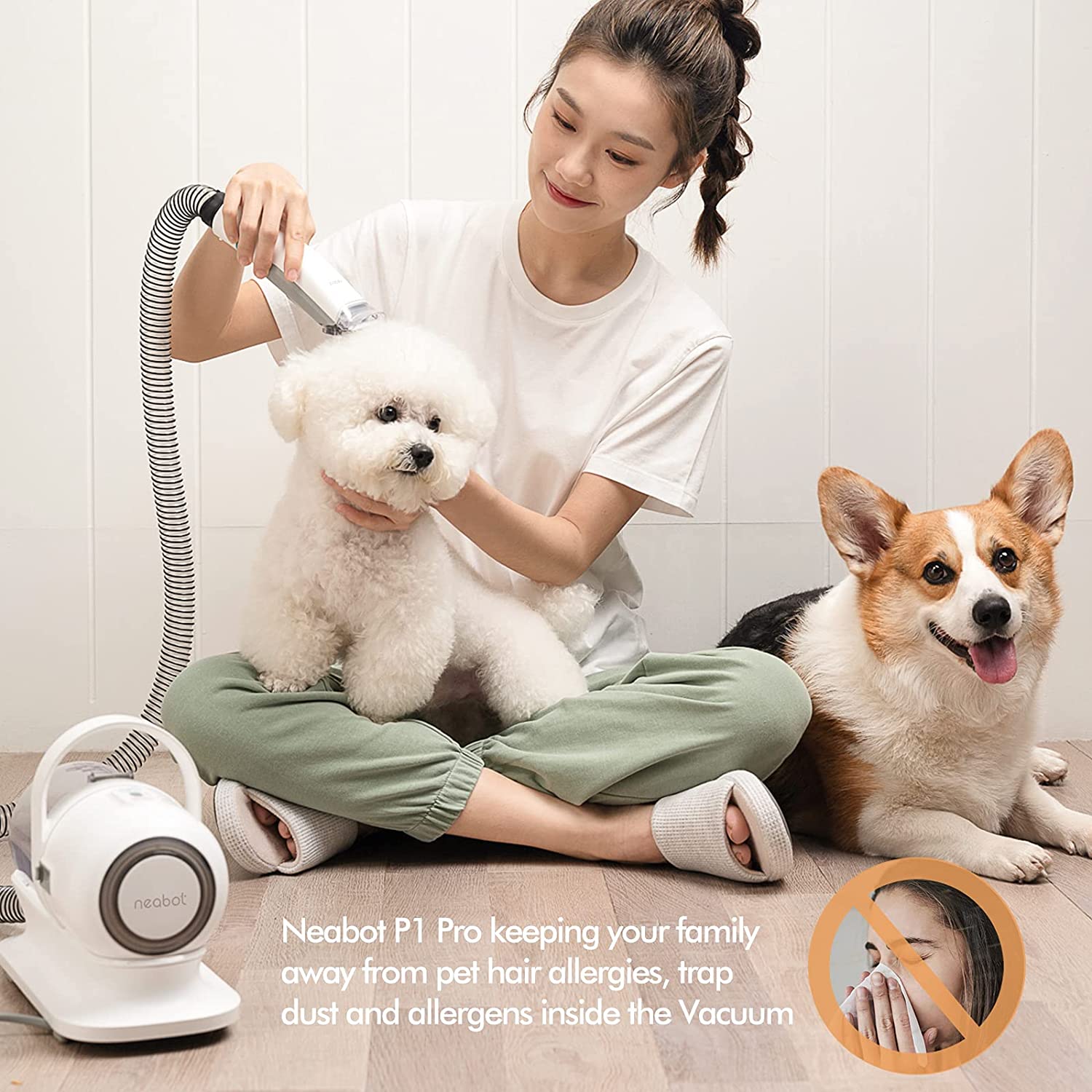 Grooming Tools Pet Hair Professional Grooming Vacuum with 5 Tools and 1.3m Power Cord