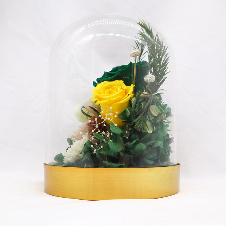 100% Real Rose Flower In Glass Dome With No Maintenance Required