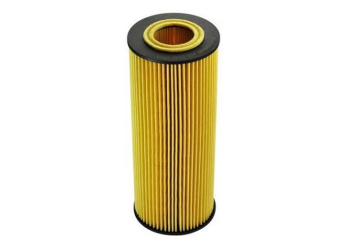 Oil Filter(Lubrication) E161H01D28 Filter Insert