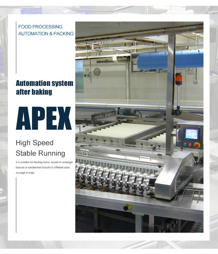 Customized Tray Loader On-Edge Multi Coockies Automatic Biscuit Packing Machine