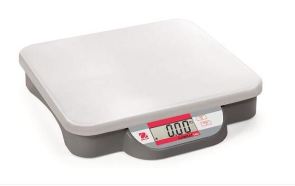 Veterinary Weighing Bench Platform Scales Industrial Weight Bench 280 Mm X 316