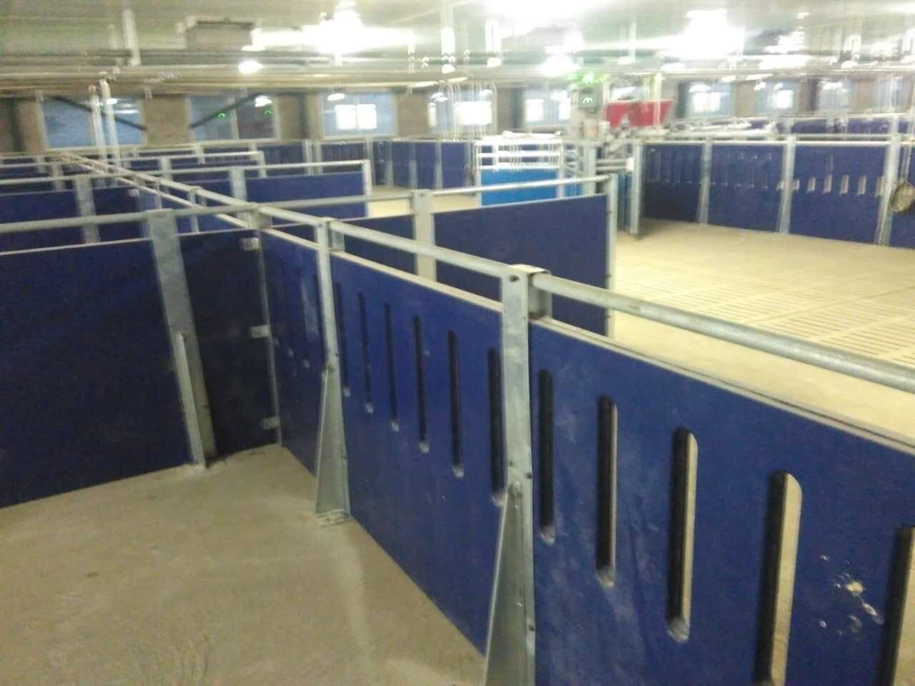 Pig Farming PP Plastic Sheet Fence Panels Wall 1 * 0.9m 13KG
