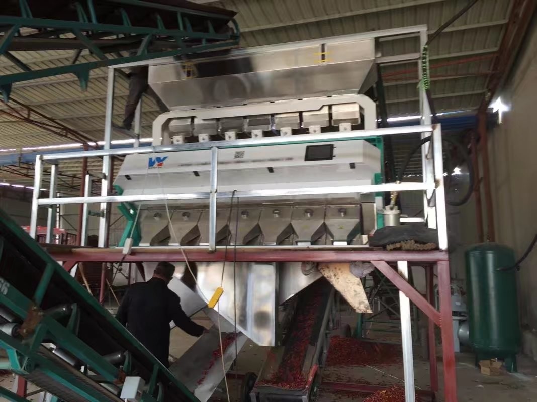 Corn Walnut Chickpea Peanut Olive Color Separator Roasted Nut Cardamom Color Sorting Machine
