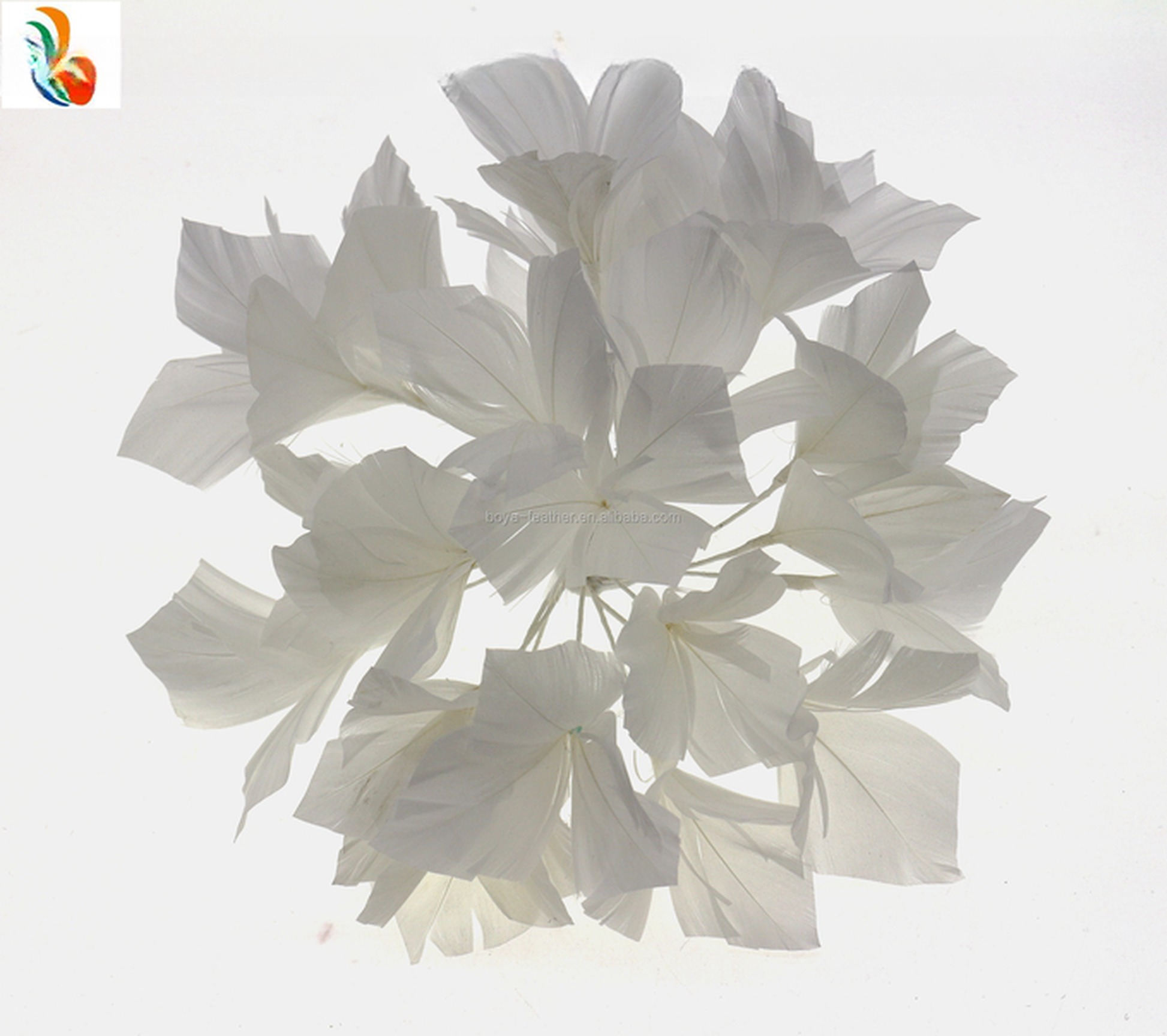 10*15 cm Stripped Goose Feather Flower Mount with Chicken Feather