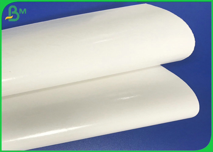 700 * 1000mm 300gr 350gr + 15g PE Coated Paper Sheet For Box of Lunch Food