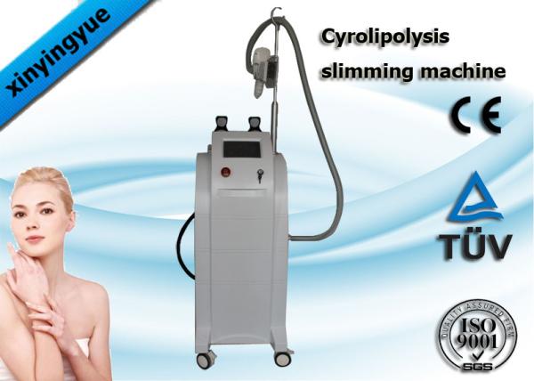 Fat Reducing Cryolipolysis Slimming Machine Cavitaion RF Cryo Fat Freezing