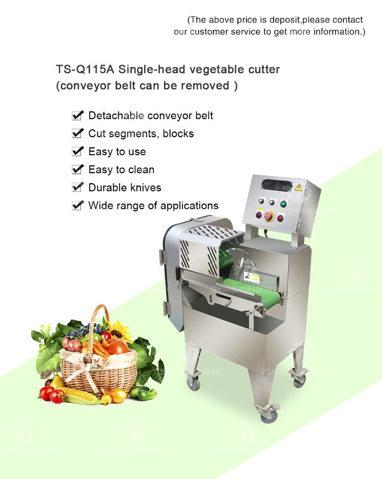 1200KG/H Vegetable Processing Machine Agricultural Automatic Fruit Cutter