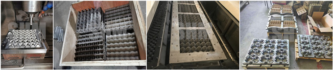 Best Waste Paper Egg Tray Making Machine Egg Tray Maker Automatic