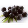 Buy cheap Acai berry Extract Powder, Anthocyanidins 5%-30%, antioxidant, anti-aging from wholesalers