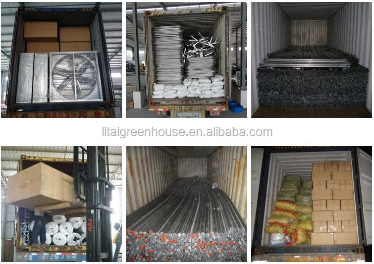 Smart Controlled Safe Glass Greenhouse for Vegetable Fruits Flowers Top Height 4.8m-6.8m