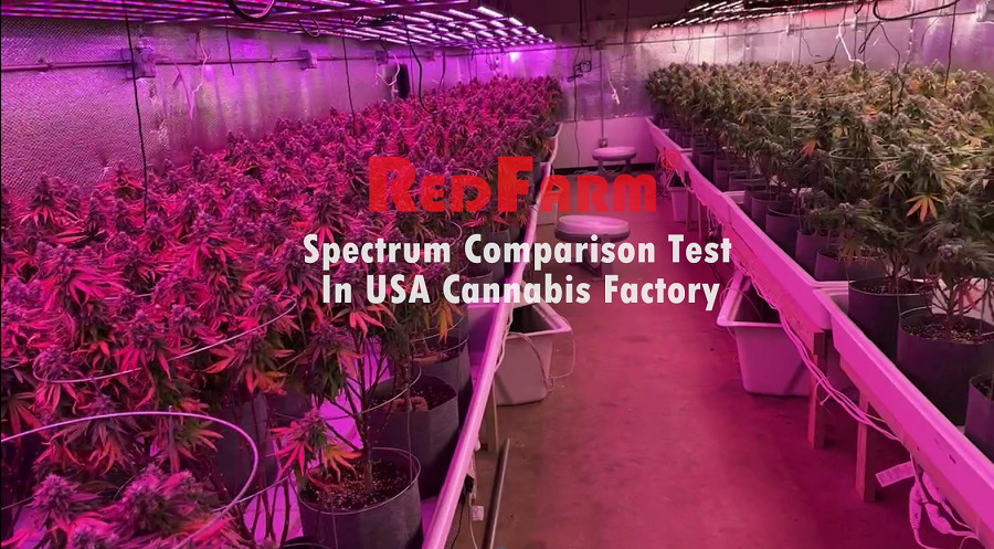 Samsung 3500K 660nm 730nm 800W LED Grow Lights Full Spectrum Type