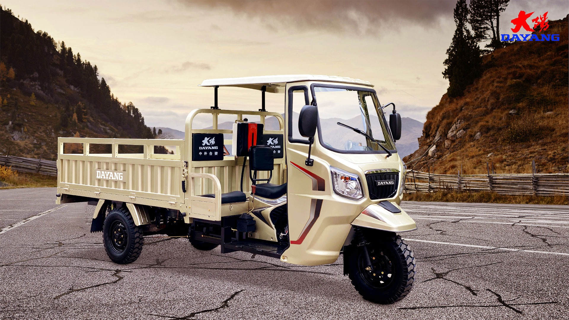 Three Wheel Motorcycle Bajaj Motor Tricycle with 500kg Curb Weight and 5.0-12 Tire Size