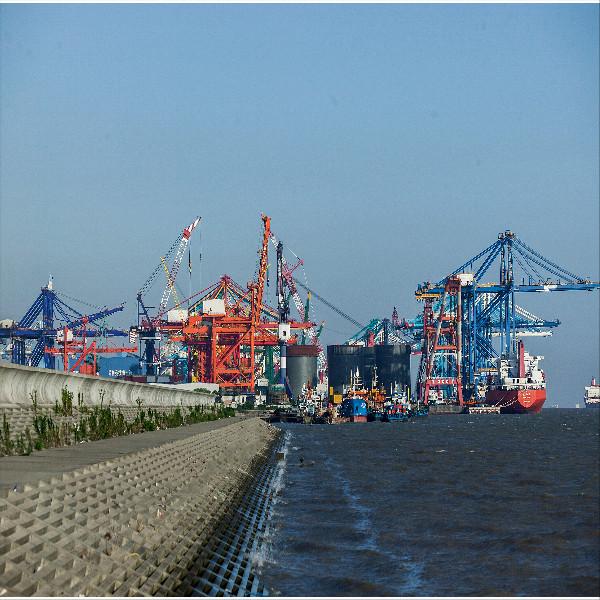 24h Response International Shipping Via Sea Logistics Service From China To