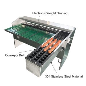  Automatic Egg Sort Grade Weighing And Sorting Egg Machine Egg Grading Process Line Scale Grader Mini Sorter Egg Machine Commercial Egg Sorting Machine Manufactures